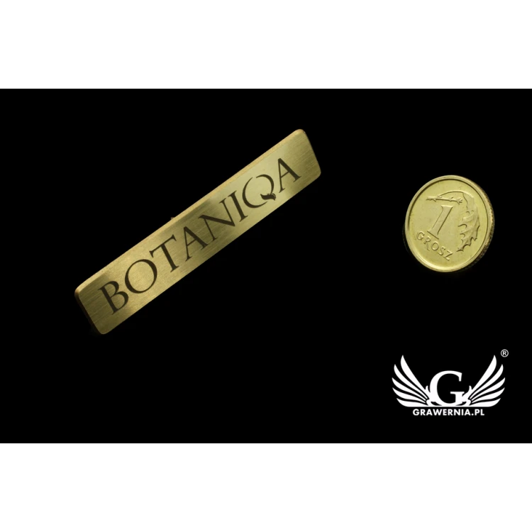 Pinsy metalowe z Twoim logo - wym. 45x9mm - PS016