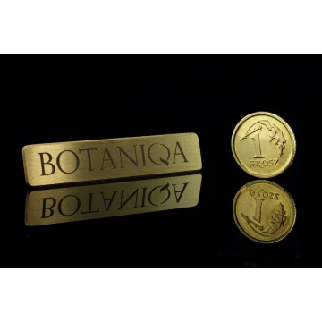 Pinsy metalowe z Twoim logo - wym. 45x9mm - PS016