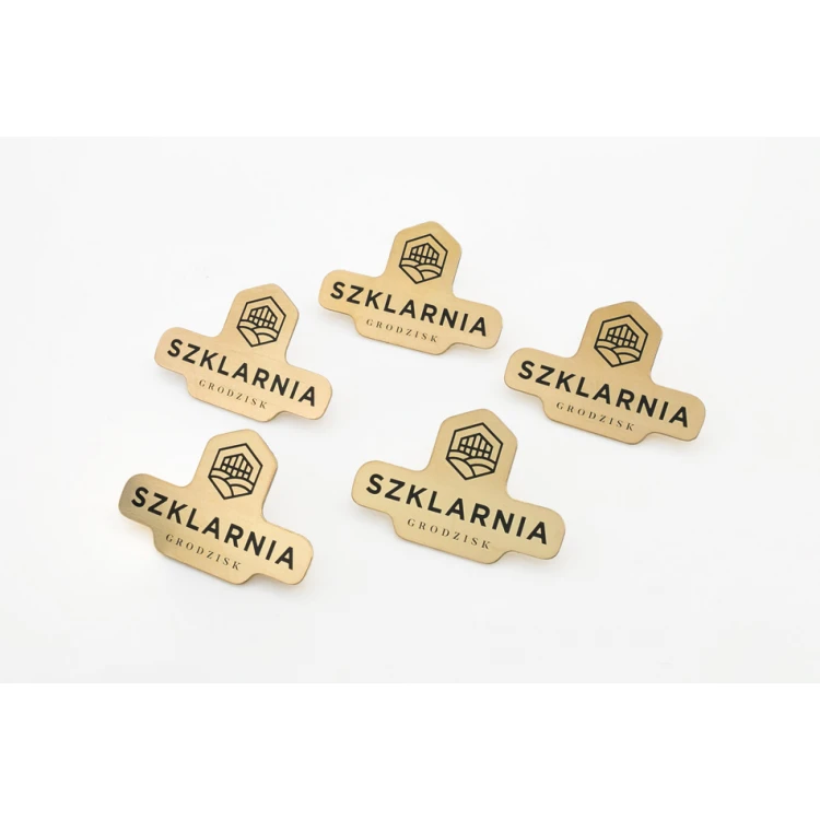Pinsy metalowe z Twoim logo - wymiary: 33x22mm - PS043 