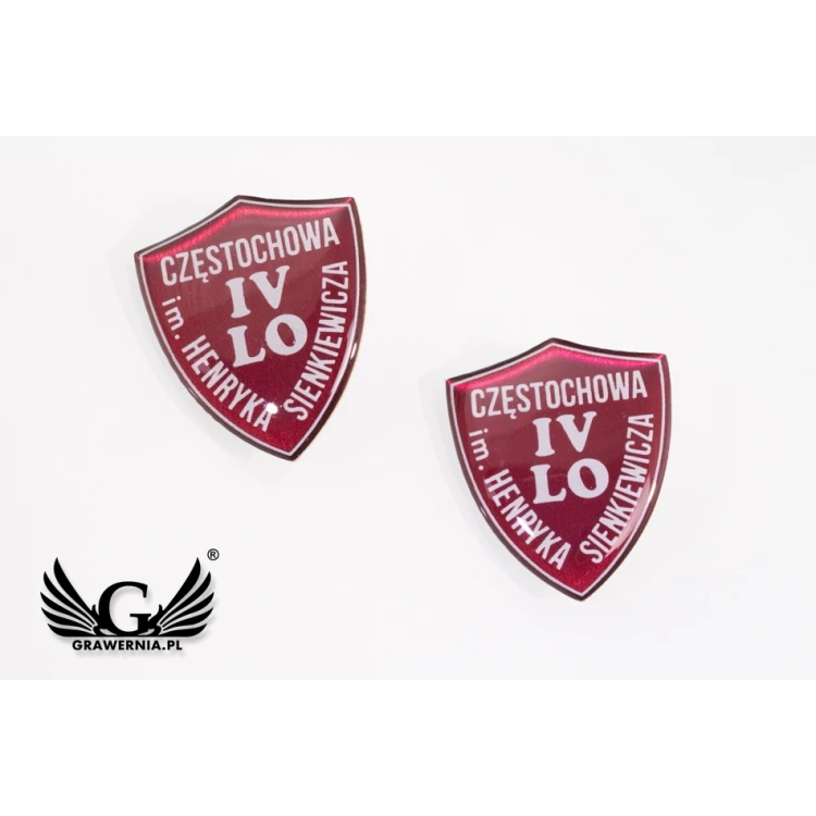 Pinsy - Tarcze z logo szkoły - wypukłe 3D doming - PWD013