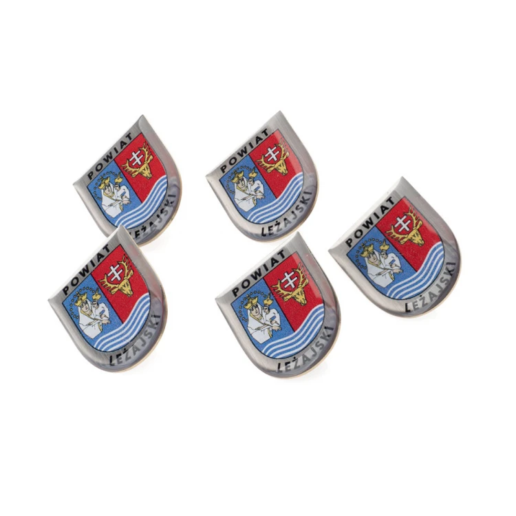 Pinsy z mosiądzu z dowolnym herbem miasta - wypukłe 3D doming - dowolne logo - PWD028