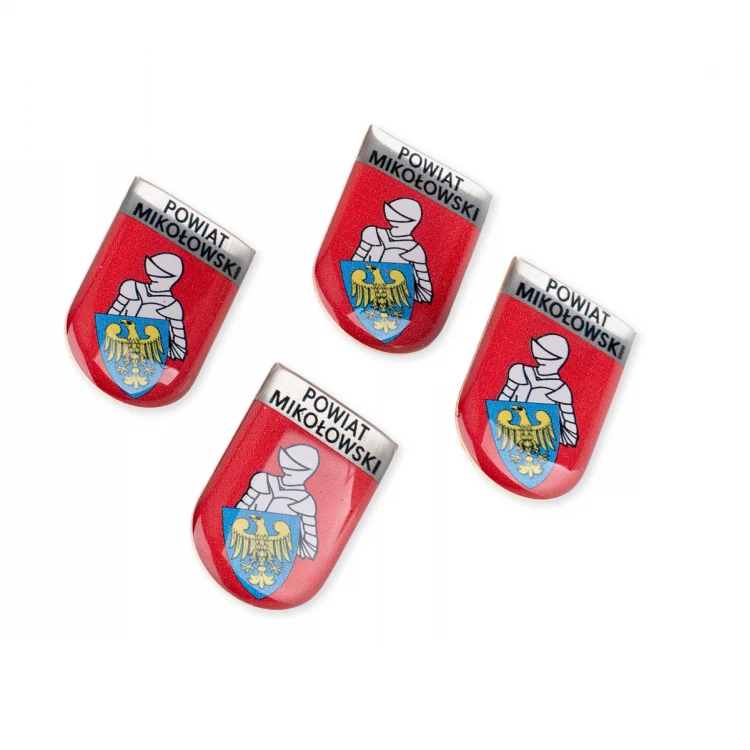 Pinsy z mosiądzu z dowolnym herbem miasta - wypukłe 3D doming - dowolne logo - PWD029