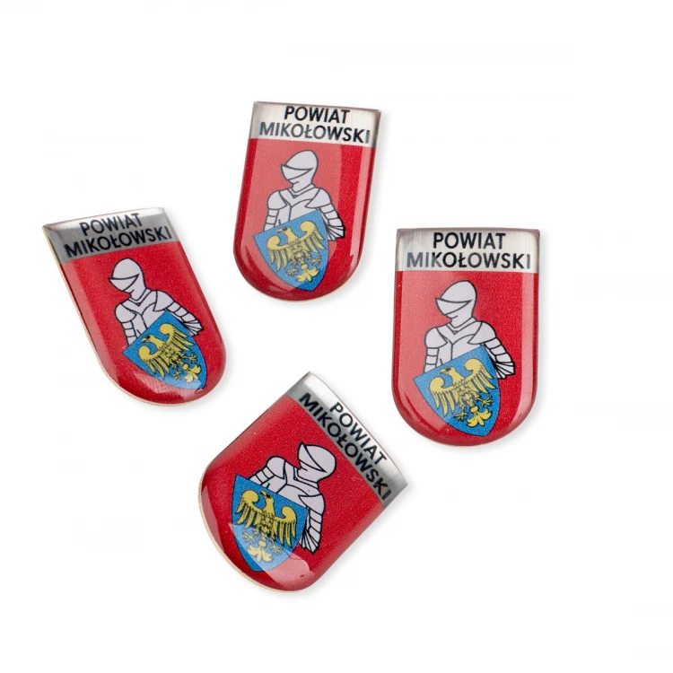 Pinsy z mosiądzu z dowolnym herbem miasta - wypukłe 3D doming - dowolne logo - PWD029