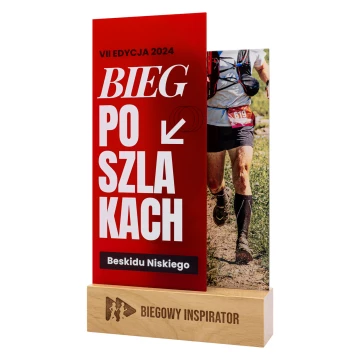 Statuetka dla sportowca - wys. 27 cm - DTA141