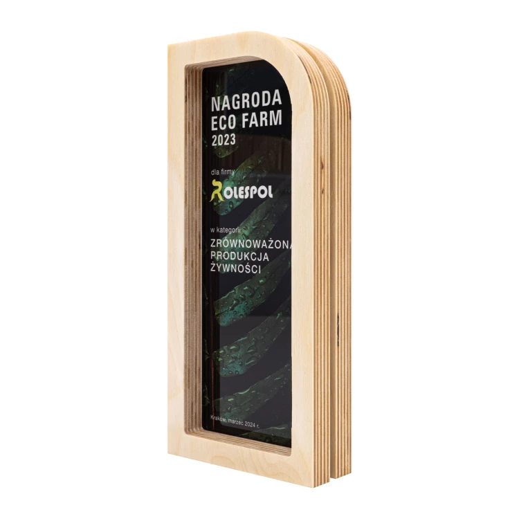 Statuetka biznesowa - drewno i akryl z nadrukiem UV - wys. 23 cm - DTA136