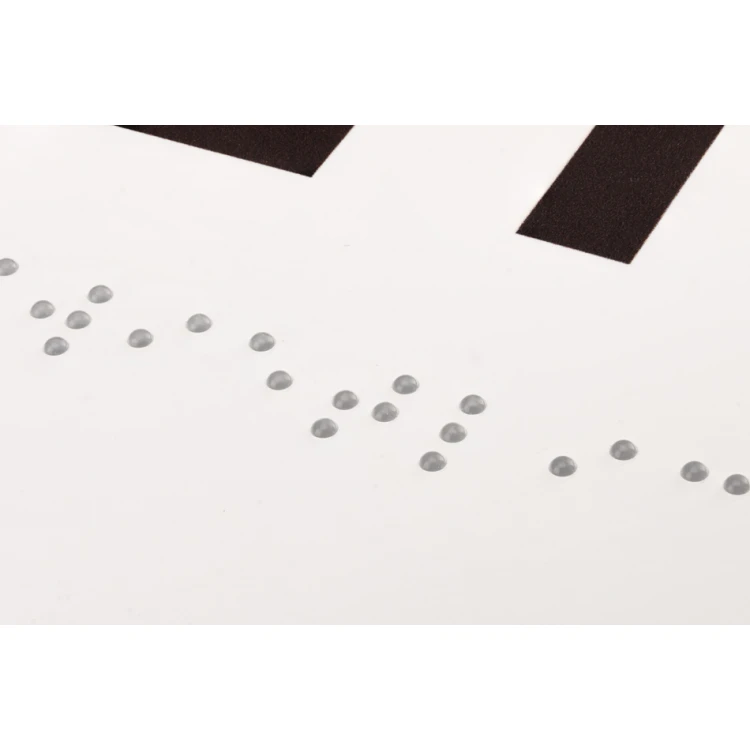 Świetlica - tabliczka na drzwi lub ścianę z pismem Braille'a - wym. 310x100mm - PVC - druk UV - TAB286