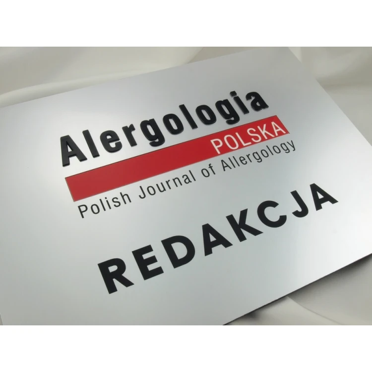 SZYLD FIRMOWY - srebrny - SZ056 -  format A4 wym. 297x210mm
