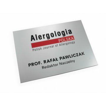 SZYLD FIRMOWY - srebrny - SZ056 -  format A4 wym. 297x210mm