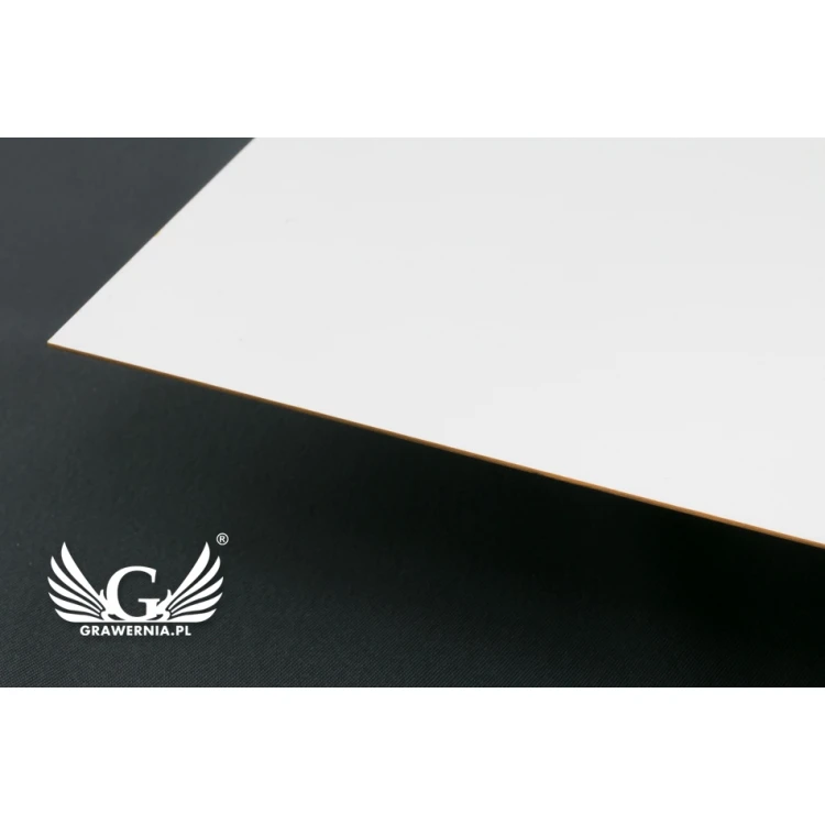 Szyld firmowy - wym. 420x300mm - białe tworzywo PCW - SZ118