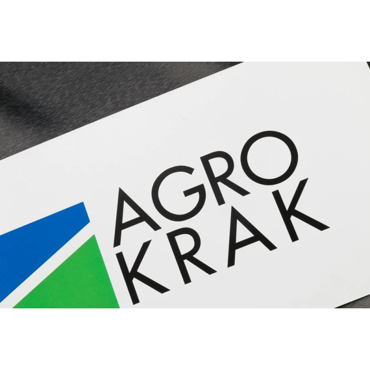 Szyld firmowy z kolorowym logotypem - wym. 300x150mm - DRUK UV - SZUV006