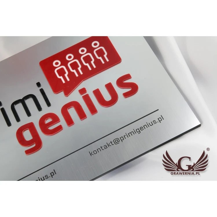 SZYLD FIRMOWY z WYPUKŁYM LOGO - srebrny - SZ069 - wymiary 250x180mm
