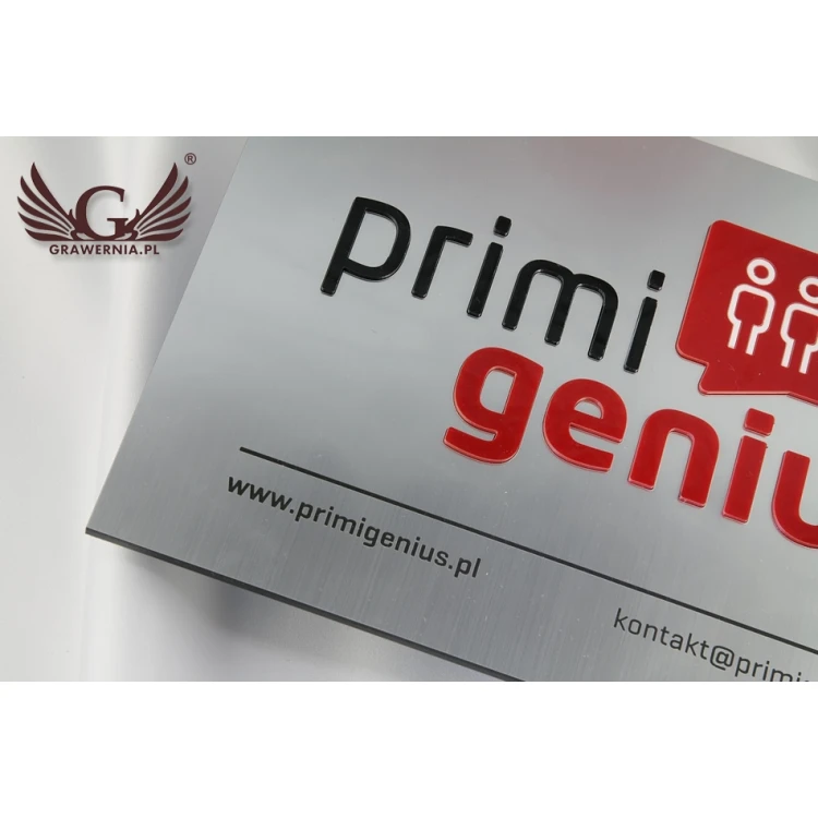 SZYLD FIRMOWY z WYPUKŁYM LOGO - srebrny - SZ069 - wymiary 250x180mm