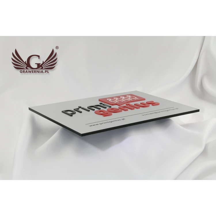 SZYLD FIRMOWY z WYPUKŁYM LOGO - srebrny - SZ069 - wymiary 250x180mm