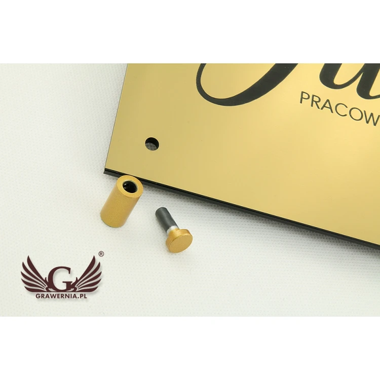 SZYLD FIRMOWY z WYPUKŁYM LOGO - złoty - SZ070 - wymiary: 297x210mm (format A4)