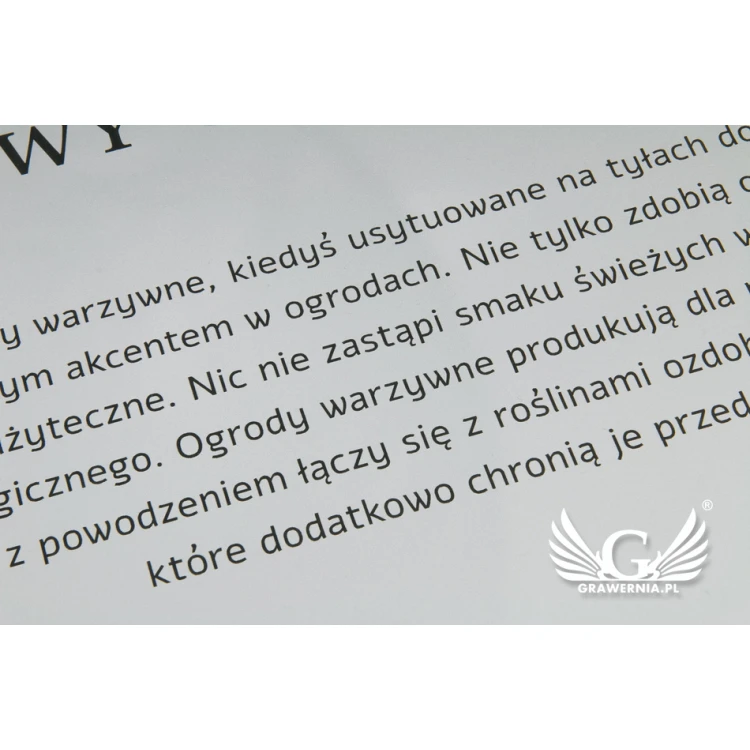 Szyld informacyjny - srebrny matowy laminat grawerski - wym. 450x400mm - SZ116