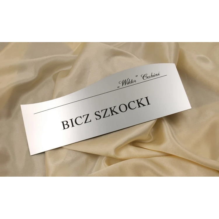 Szyld na drzwi - SZ006 - wym. 280x100mm