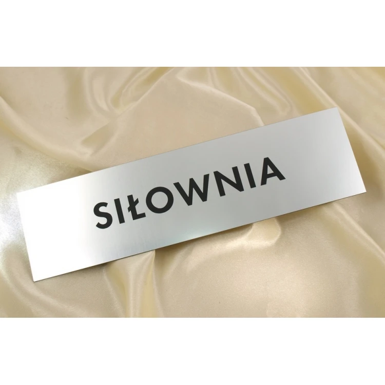 Szyldy dla szkoły, biura, hotelu - SZ014 - wym. 290x80mm
