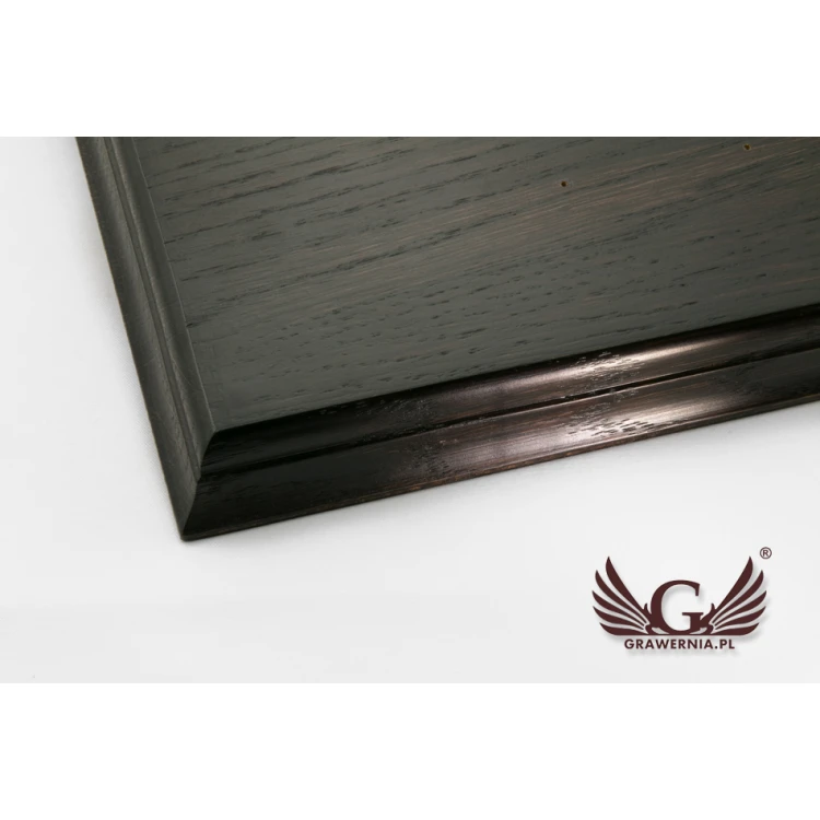 TABLICA DO WBIJANIA GWOŹDZI SZTANDAROWYCH - CIEMNA -  wym.  580x470mm - TAB056