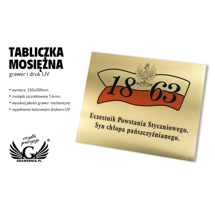 Tabliczka - mosiądz szczotkowany, grawerowana frezami - CNC - kolor nadruk UV - wym. 250x200mm - TAB113