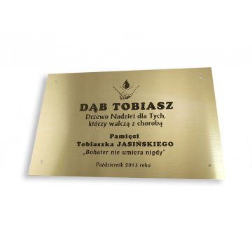 Tabliczka mosiężna z dedykacją - M008 - wym. 200x130mm