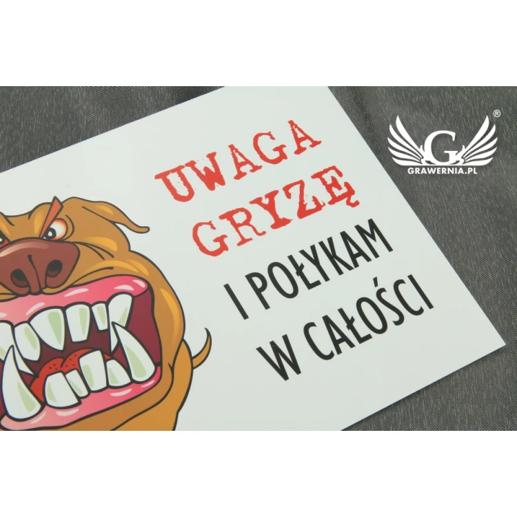 Tabliczka ostrzegawcza - zły pies -  tworzywo PCW - wym. 210x150mm - TZP002