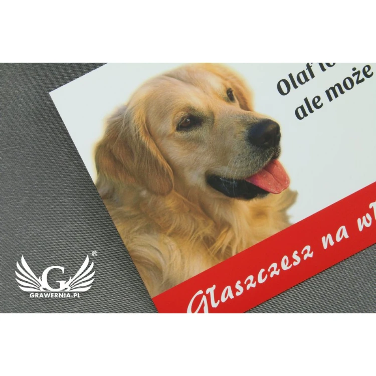 Tabliczka ostrzegawcza z psem właściciela - tworzywo PCW - wym. 210x150mm - TZP005