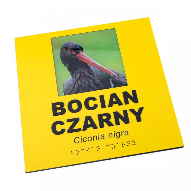 Tabliczki informacyjne ze zdjęciem, dowolnym tekstem i pismem Braille'a  - wym. 210x210mm - TAB492  