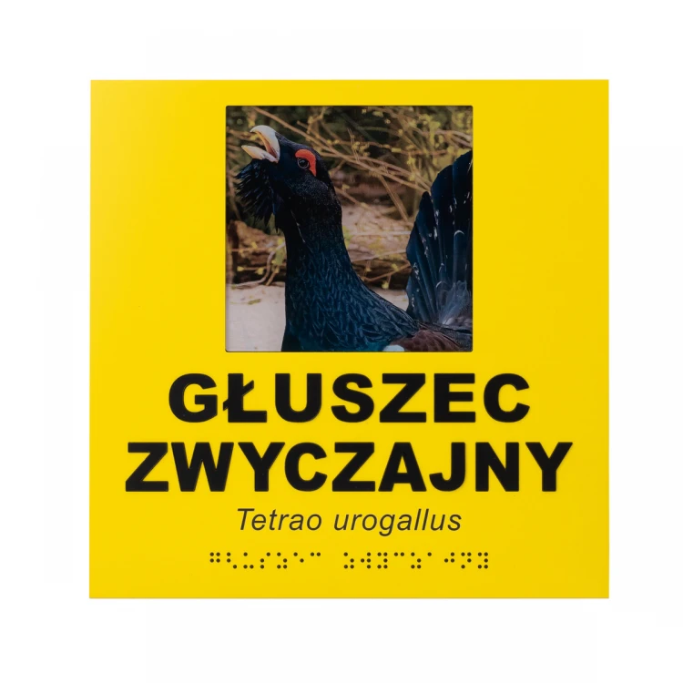 Tabliczki informacyjne ze zdjęciem, dowolnym tekstem i pismem Braille'a  - wym. 210x210mm - TAB492  