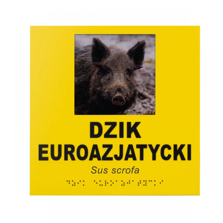 Tabliczki informacyjne ze zdjęciem, dowolnym tekstem i pismem Braille'a  - wym. 210x210mm - TAB492  