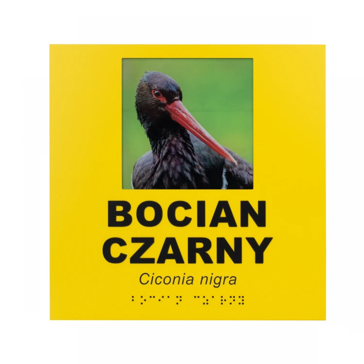 Tabliczki informacyjne ze zdjęciem, dowolnym tekstem i pismem Braille'a  - wym. 210x210mm - TAB492  