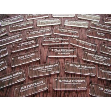 Tabliczki opisowe z plexi 3mm - BA033
