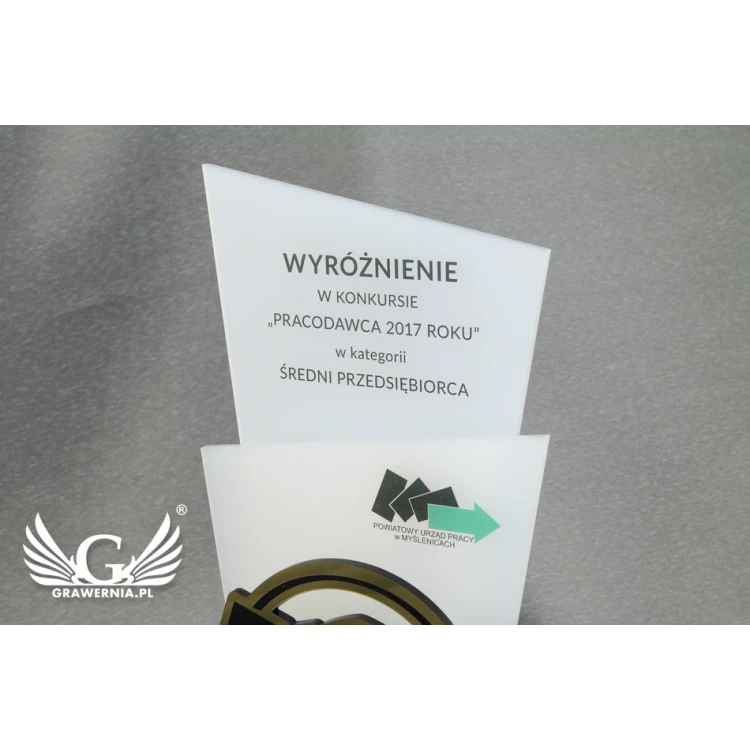 Trofeum akrylowe - EXTREME 2 - model DTA50 - wys. 21,5cm