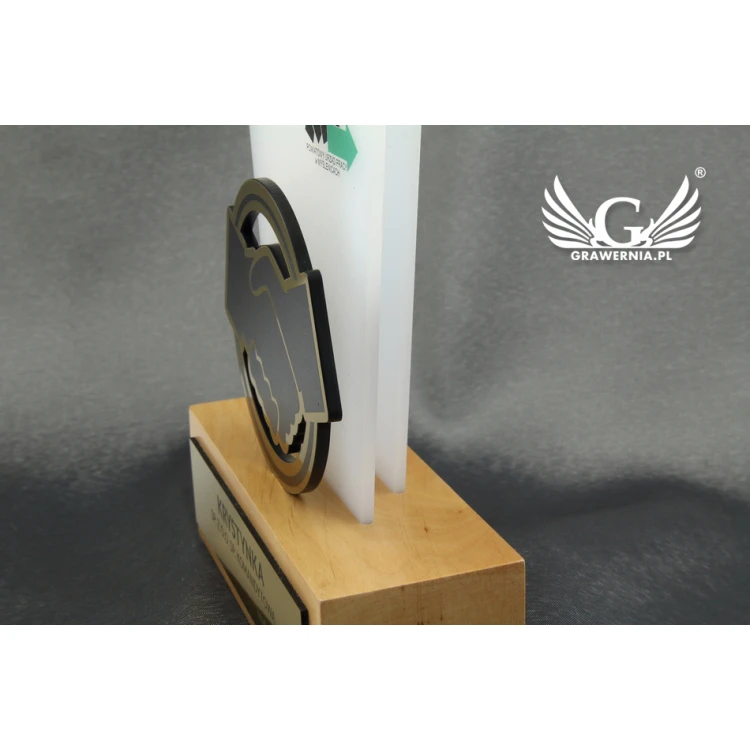 Trofeum akrylowe - EXTREME 2 - model DTA50 - wys. 21,5cm