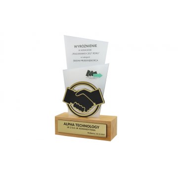 Trofeum akrylowe - EXTREME 2 - model DTA50 - wys. 21,5cm