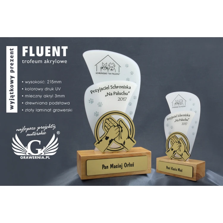 Trofeum akrylowe - FLUENT - model DTA45 - wys. 21,5cm