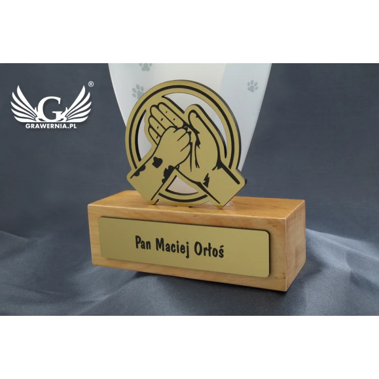 Trofeum akrylowe - FLUENT - model DTA45 - wys. 21,5cm