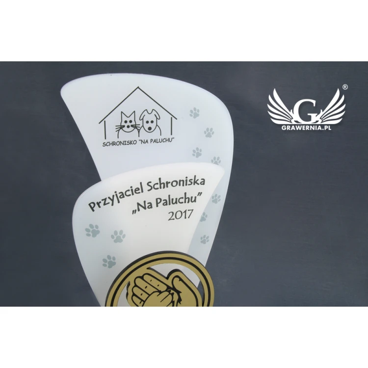 Trofeum akrylowe - FLUENT - model DTA45 - wys. 21,5cm
