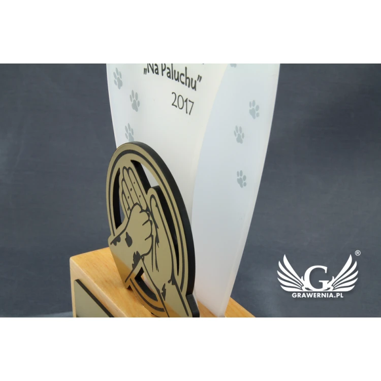 Trofeum akrylowe - FLUENT - model DTA45 - wys. 21,5cm