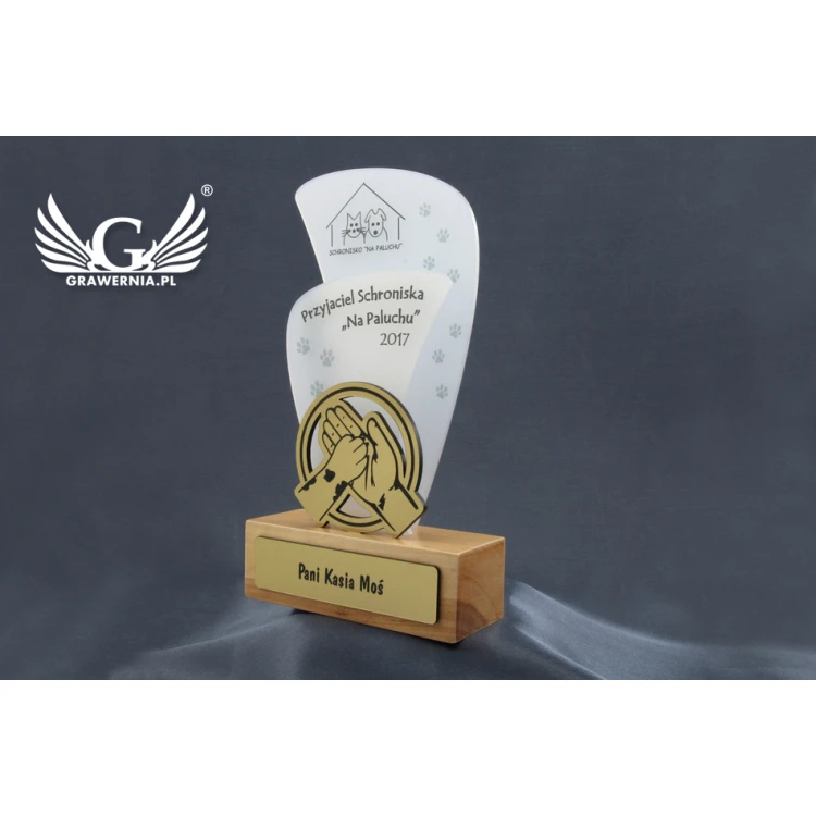 Trofeum akrylowe - FLUENT - model DTA45 - wys. 21,5cm