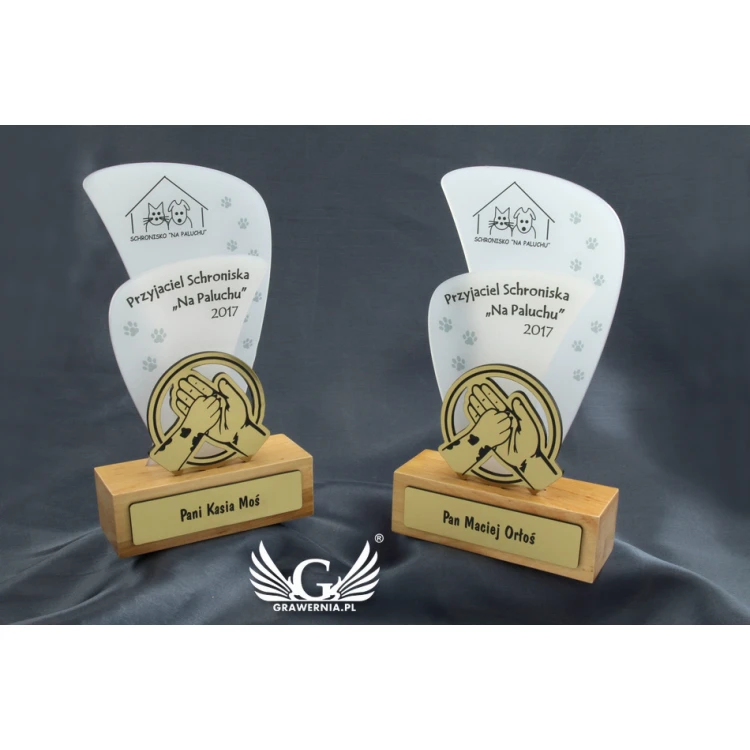 Trofeum akrylowe - FLUENT - model DTA45 - wys. 21,5cm