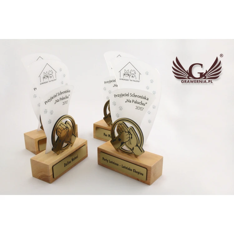 Trofeum akrylowe - FLUENT - model DTA45 - wys. 21,5cm