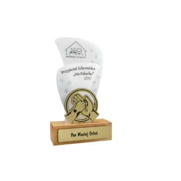 Trofeum akrylowe - FLUENT - model DTA45 - wys. 21,5cm