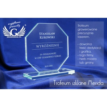 Trofeum szklane - MERIDA