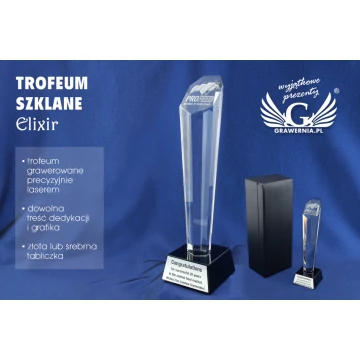 Trofeum szklane w etui - ELIXIR