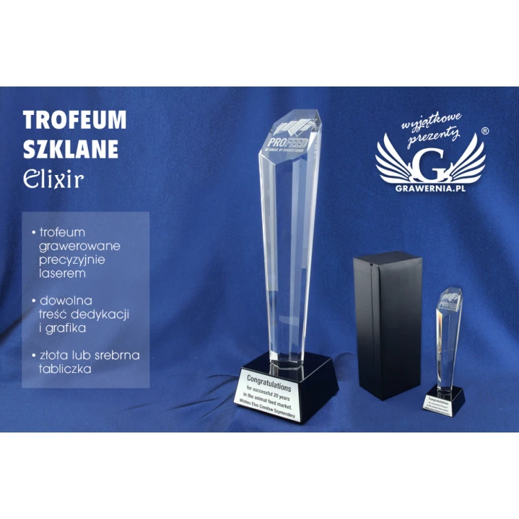Trofeum szklane w etui - ELIXIR