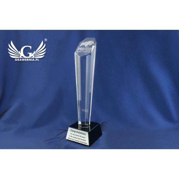 Trofeum szklane w etui - ELIXIR