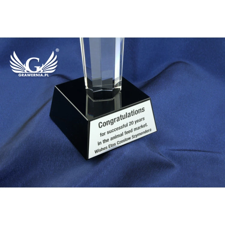 Trofeum szklane w etui - ELIXIR