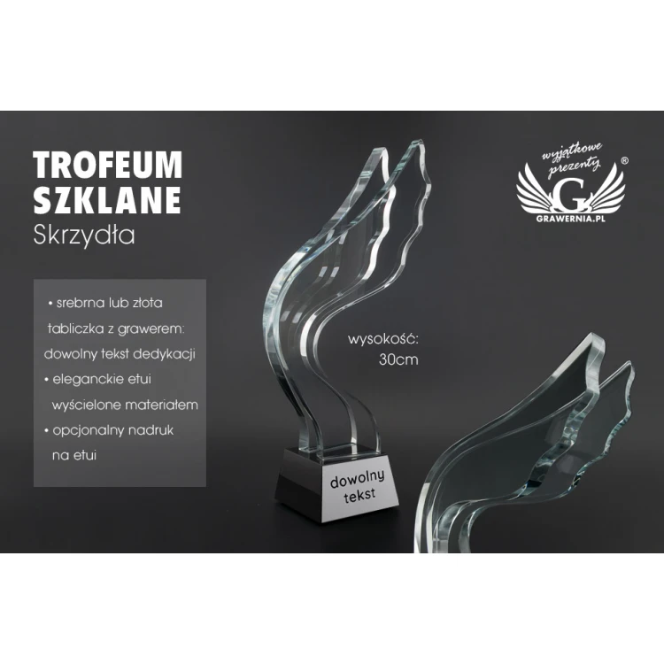 Trofeum szklane w etui - Skrzydła - TSZ105