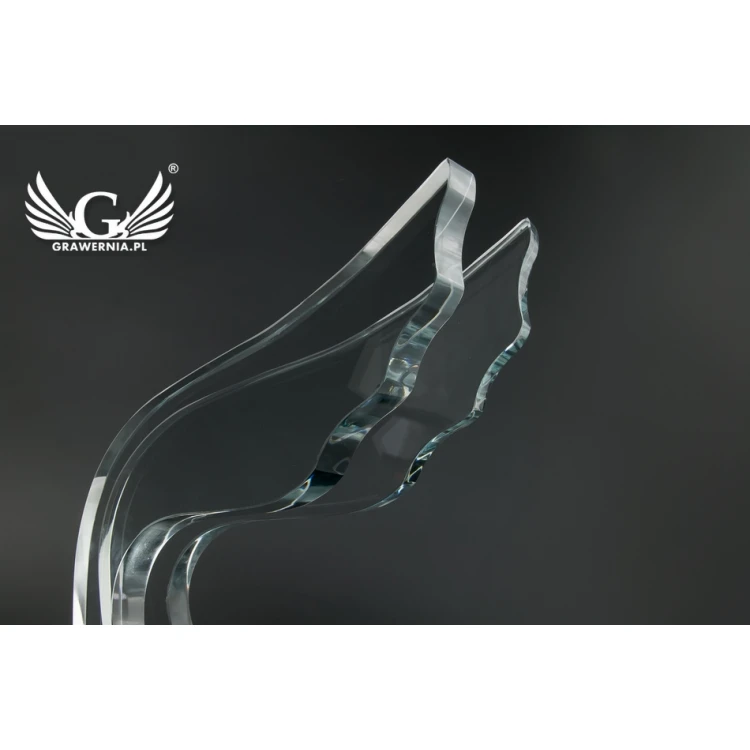 Trofeum szklane w etui - Skrzydła - TSZ105