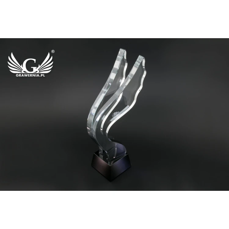Trofeum szklane w etui - Skrzydła - TSZ105